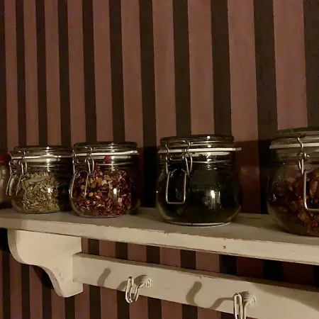 Bed & Breakfast 't Raethuys